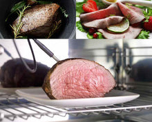 Carica l'immagine nel visualizzatore di Gallery, IRINOX ABBATTITORE FREDDY 45 HF452350009